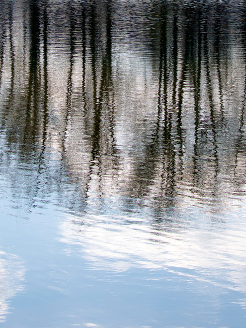 L'exposition "De l'eau" photographie de Cloée Pouthier L'exposition "De l'eau" photographie de Cloée Pouthier